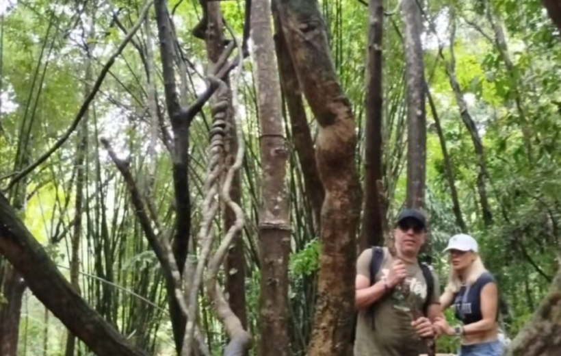 Khao Sok Jungle Walk & Bamboo Rafting Adventure