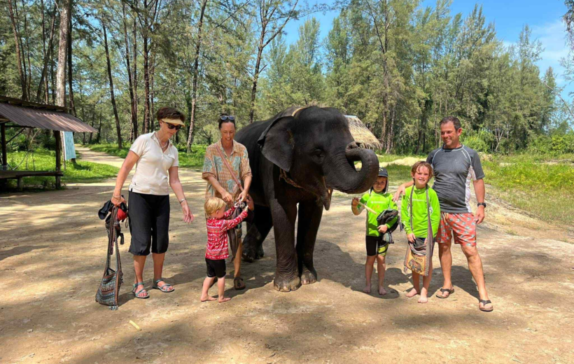 Khao Sok Elephants Bamboo Rafting And Monkey Temple Tour